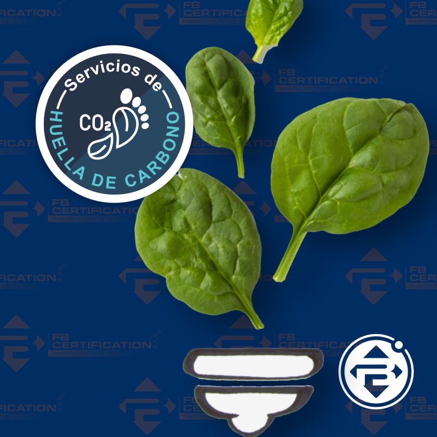 SERV- HUELLA DE CARBONO-movil