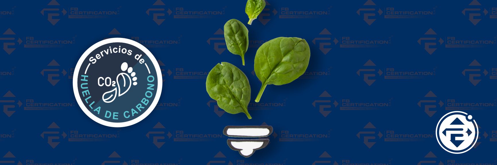 SERV- HUELLA DE CARBONO